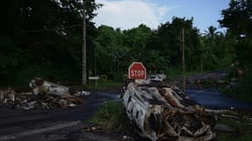 Des épaves de voitures incendiées à Fort-de-France, en Martinique, dans les Caraïbes, le 13 octobre 2024, après des émeutes liées à la vie chère