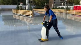 Toulon: la patinoire de Noël inaugurée ce vendredi