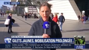 Gilets jaunes : "il ne s'agit pas de jouer les grandes métropoles contre les territoires" affirme Élise Fajgeles (LaREM)