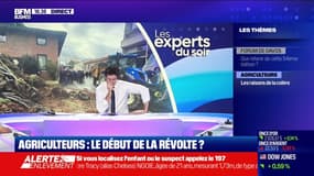 Agriculteurs : le début de la révolte ? - 19/01