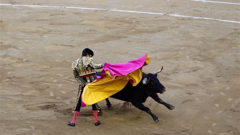 Les Français sont partagés au sujet de l?interdiction de la corrida, 48% pensant que ce devrait être le cas partout dans le pays et 42% prônant le statu quo, son maintien dans les villes du Sud, selon un sondage Ifop pour Midi Libre. /Photo d'archives/REU