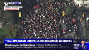 Plusieurs milliers de manifestants déambulent à Londres pour une marche pro-palestinienne