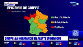 Grippe: la Normandie en alerte épidémique