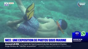 Azur & Riviera du samedi 22 juin 2024 - Une exposition de photos sous marine à Nice