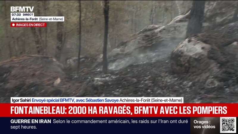 Incendie à Fontainebleau: 800 pompiers toujours mobilisés pour éviter toute reprise de feu