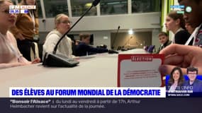Strasbourg: des collégiens participent au forum de la démocratie