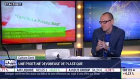Une protéine dévoreuse de plastique, une piste prometteuse pour le recyclage