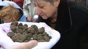 Entre décembre 2017 et mars 2018, quelque 30 tonnes de truffes noires ont été récoltées par quelque 20.000 trufficulteurs français. 
