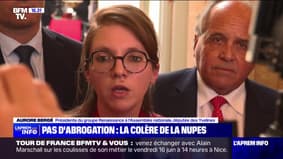Proposition de loi LIOT: "Nous avons subi des menaces, des intimidations, des insultes" affirme Aurore Bergé (Renaissance)