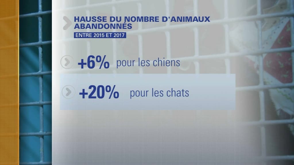 statistiques SPA statistiques SPA