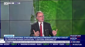 Une exposition qui met les sens en alerte au Muséum national d'Histoire naturelle: