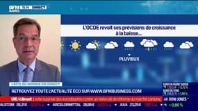 Patrice Gautry (Union Bancaire Privée) : L'OCDE revoit ses prévision de croissance à loa baisse - 08/06