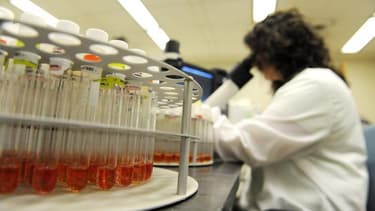 Deux employés hospitaliers ont été contaminés par le nouveau coronavirus (nCoV) en Arabie saoudite en soignant des patients infectés, a indiqué mercredi soir l'OMS, qui juge désormais probable que ce virus, proche de celui responsable du Sras, se transmet