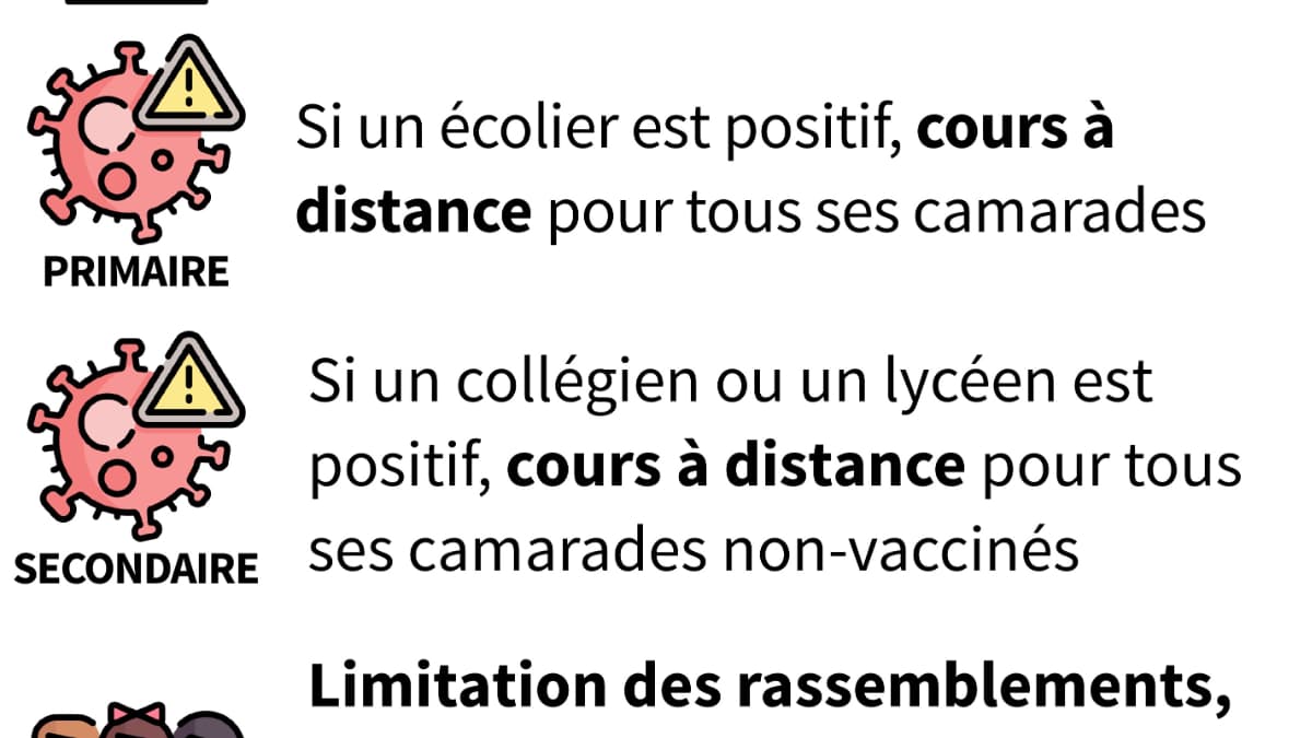 Infographie