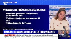 Violences en Île-de-France: le phénomène des rixes entre bandes rivales