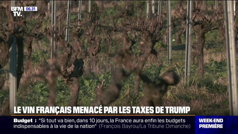 Les viticulteurs français redoutent une nouvelle taxe à l'export vers les États-Unis