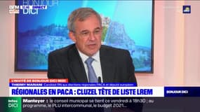 Régionales en Paca: Thierry Mariani "prêt à prendre le pari" d'une liste commune Cluzel-Muselier "dès le 1er tour"