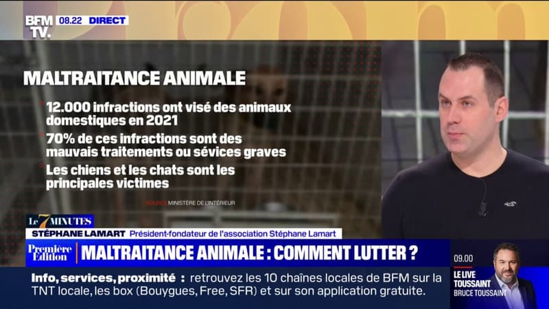 7 MINUTES POUR COMPRENDRE - Maltraitance animale: comment lutter ?