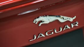 Un logo de la marque automobile Jaguar sur un véhicule, lors du salon de l'automobile de Washington DC, le 27 janvier 2016 (photo d'illustration).