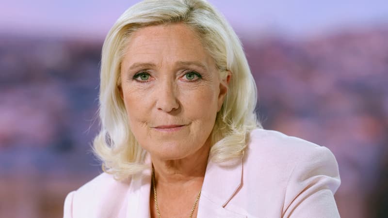 "Je ne vais plus voter pour elle": vers qui les électeurs RN, déçus de la candidature de Marine Le Pen, pourraient-ils se tourner?