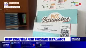 Calvados: un pass musées pour des sorties culturelles à petits prix