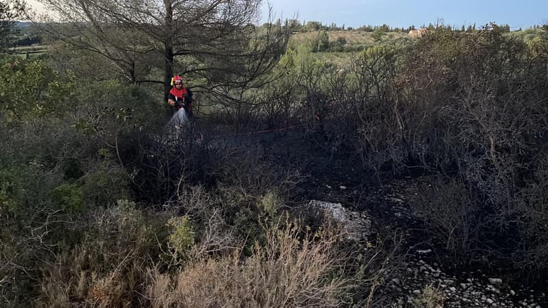 Bouches-du-Rhône: un incendie parcourt 5 hectares entre Saint-Martin-de-Crau et Mouriès, 5000 m2 brulés