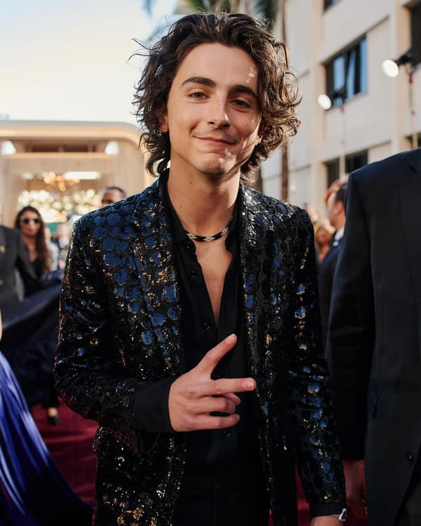  Timothée Chalamet, Golden Globes 2024