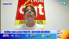 "On défend les usagers, on défend le service public de l'énergie"