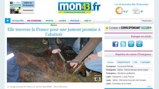 Jennie, au secours d'une jument promise à l'abattoir