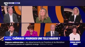 Chômage : pourquoi une telle hausse ? - 27/01 