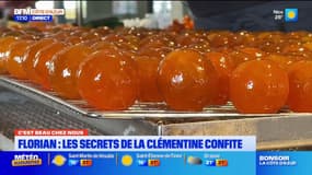 C beau chez nous: les secrets de la clémentine confite des Confiseries Florian
