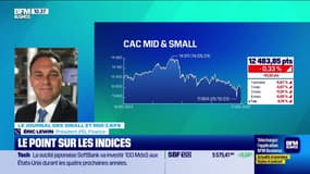 Le journal des Small et Mid Caps : La chevauchée fantastique d'Amoéba - 17/12