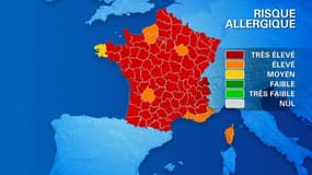 La carte d'alerte aux allergies parle d'elle-même. En rouge, les départements où le risque est maximum.