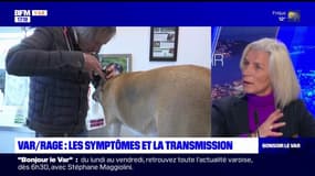 Var: les symptômes de la rage, maladie mortelle détectée chez un chiot