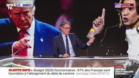 Story 3 : Présidentielle américaine, un duel à couteaux tirés entre Trump et Harris - 30/10