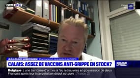 Grippe: "l'engouement pour la vaccination est plutôt une bonne nouvelle"