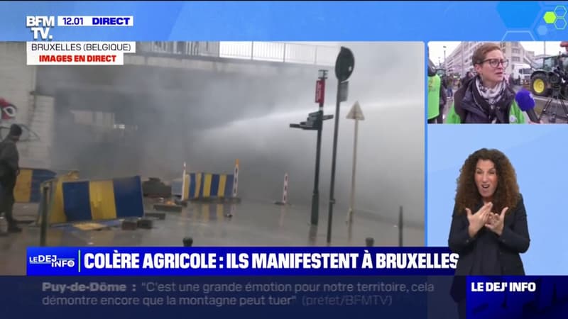 Colère des agriculteurs: une manifestation à Bruxelles en marge de la réunion des ministres européens de l'Agriculture
