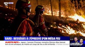 Les images du "méga feu" dans le Gard, qui a déjà ravagé 600 hectares