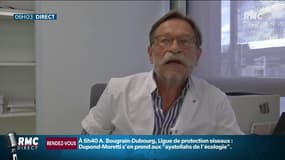 Comment la Mayenne a réussi à endiguer l'épidémie de Coronavirus