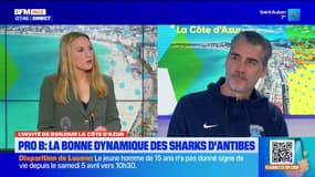 Pro B: la bonne dynamique des Sharks d'Antibes