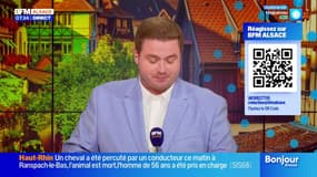 Bonjour Alsace du vendredi 31 octobre 2025