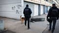 Un policier de l'unité canine et un policier spécialisé dans la recherche de drogues, armes et  munitions participent à l'opération "Place nette" dans le quartier nord de "Font-Vert", le 29 novembre 2023 à Marseille
