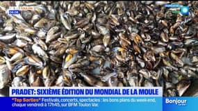 Pradet: une sixième édition pour le Mondial de la moule