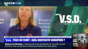 Feux de forêt: "Tous les pays européens sont touchés", affirme Claire Kowalewski, colonelle de la Sécurité civile