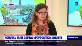 Métropole de Lyon: l'opposition s'inquiète de la nouvelle tarification de l'eau dans métropole