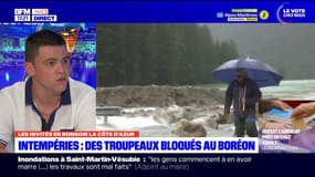 Intempéries dans la Vésubie: les éleveurs en grande difficulté