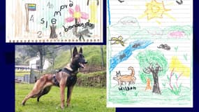 Une photo du chien de l'Armée colombienne, Wilson, et des dessins faits par des enfants perdus dans la jungle, sur lesquels Wilson est représenté.