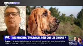 Recherche/Émile : quel rôle ont les chiens ? - 10/07