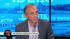 Eric Zemmour: "Nous avons mis du sentiment dans la politique depuis trente ans face à l'invasion que nous subissons."