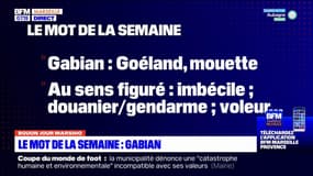 La chronique en provençal: l'origine du mot "gabian"